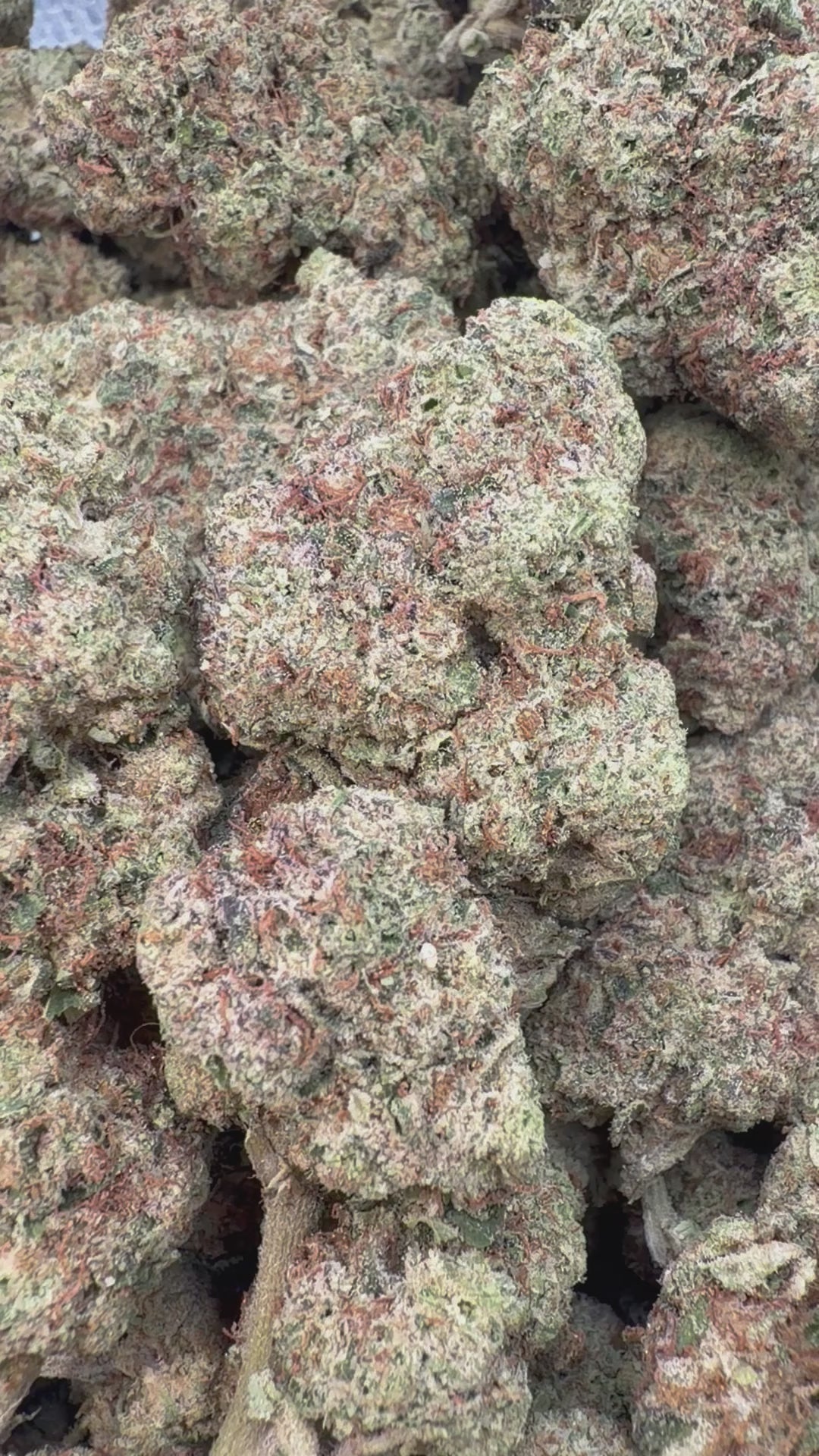 Cargar vídeo: Georgia Pie - A granel - Indica