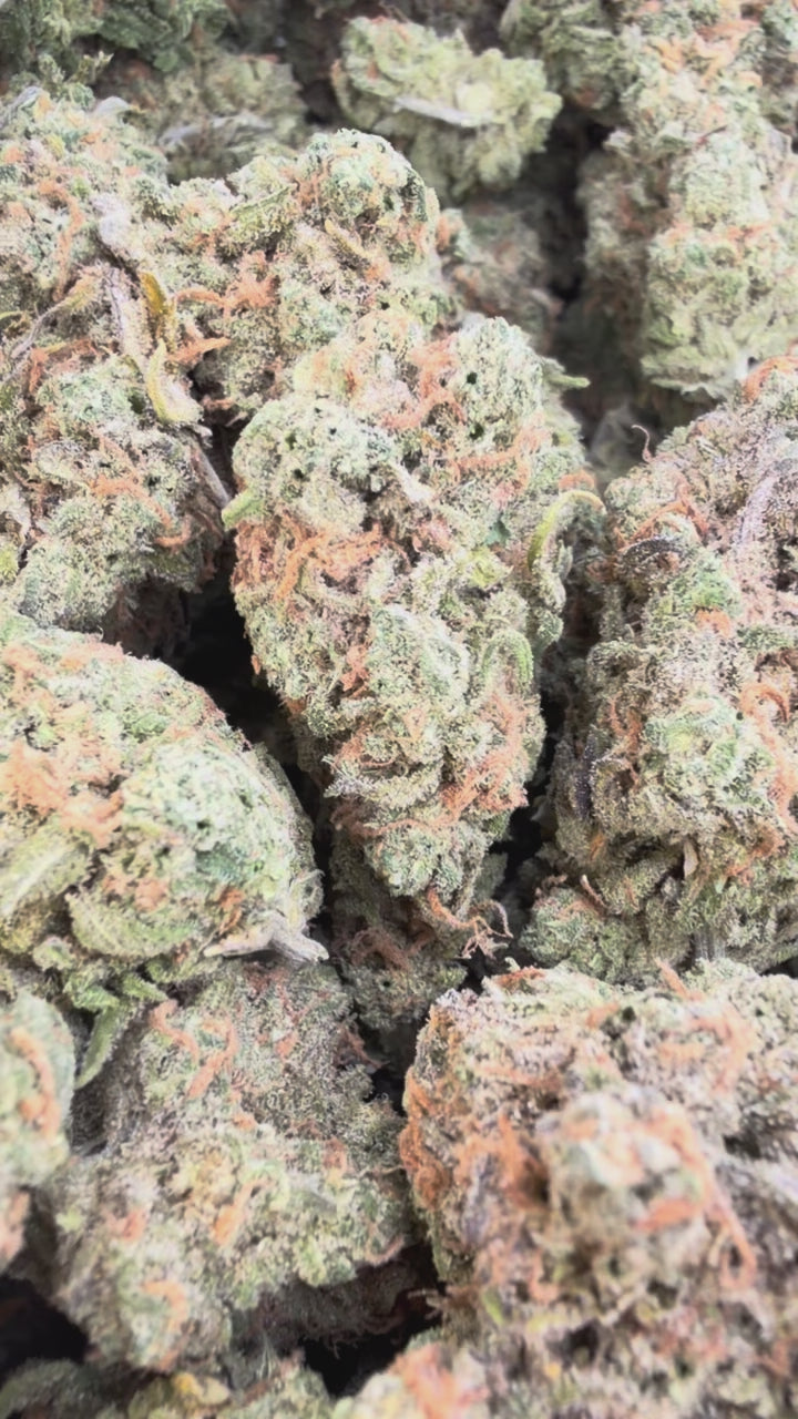 Load video: Blue Dream Indoor - Bulk - Sativa