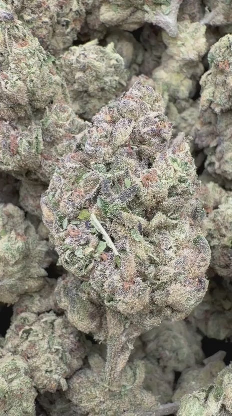 Load video: GMO - Bulk - Indica