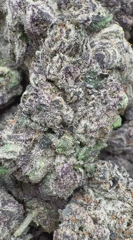 Load video: Oakland Runtz - Bulk - Hybrid