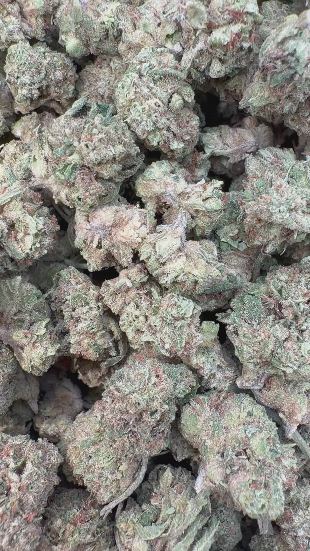 Cargar vídeo: Pastel de libra londinense 97 Littles - Littles a granel - Indica