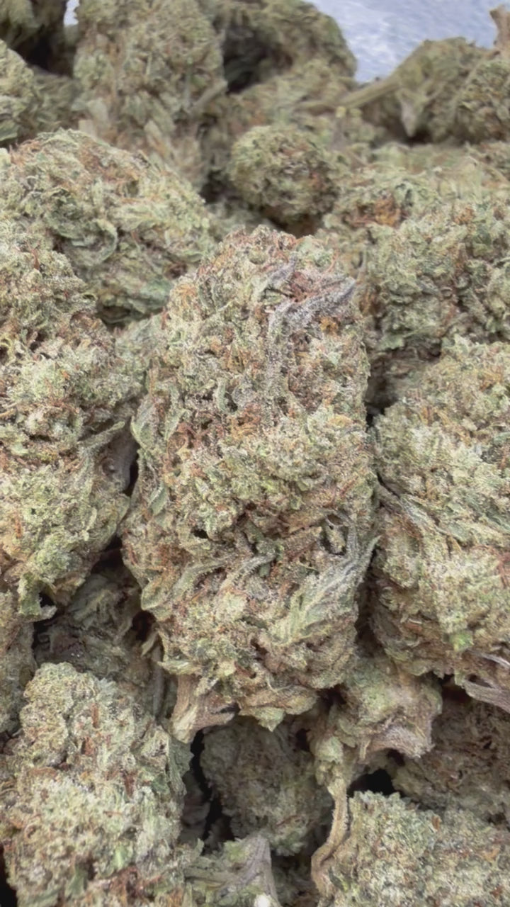 Load video: Slapz Mediums - Bulk Mediums - Hybrid