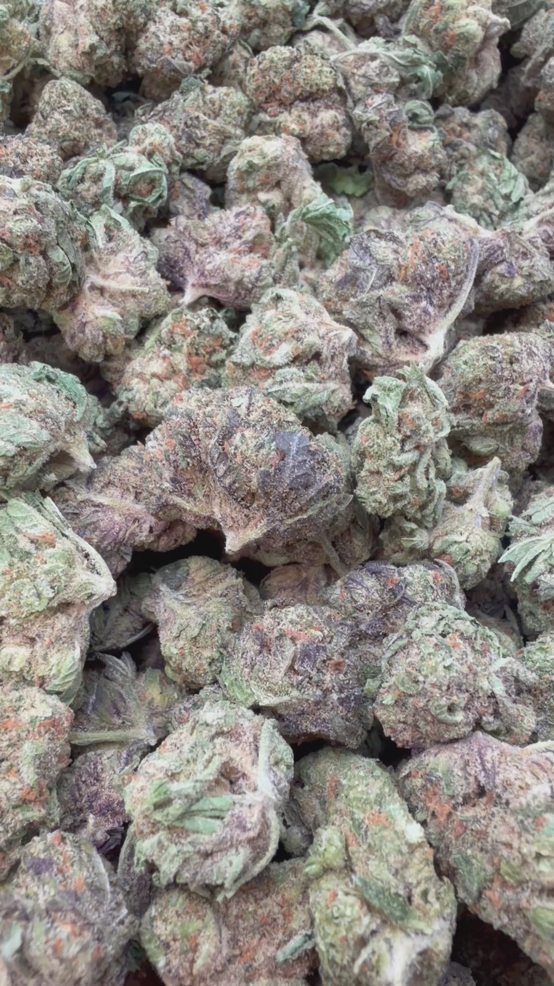 Load video: 24K Gold Mediums - Bulk Mediums - Indica