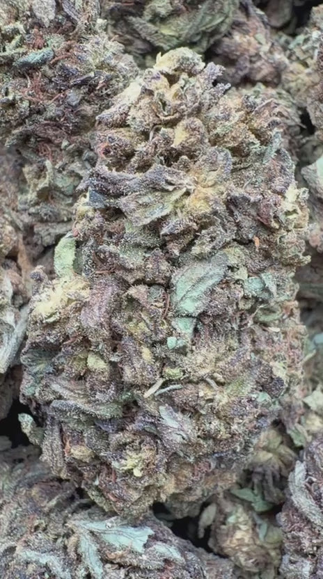 Load video: Strawberry Gelato - Bulk - Hybrid