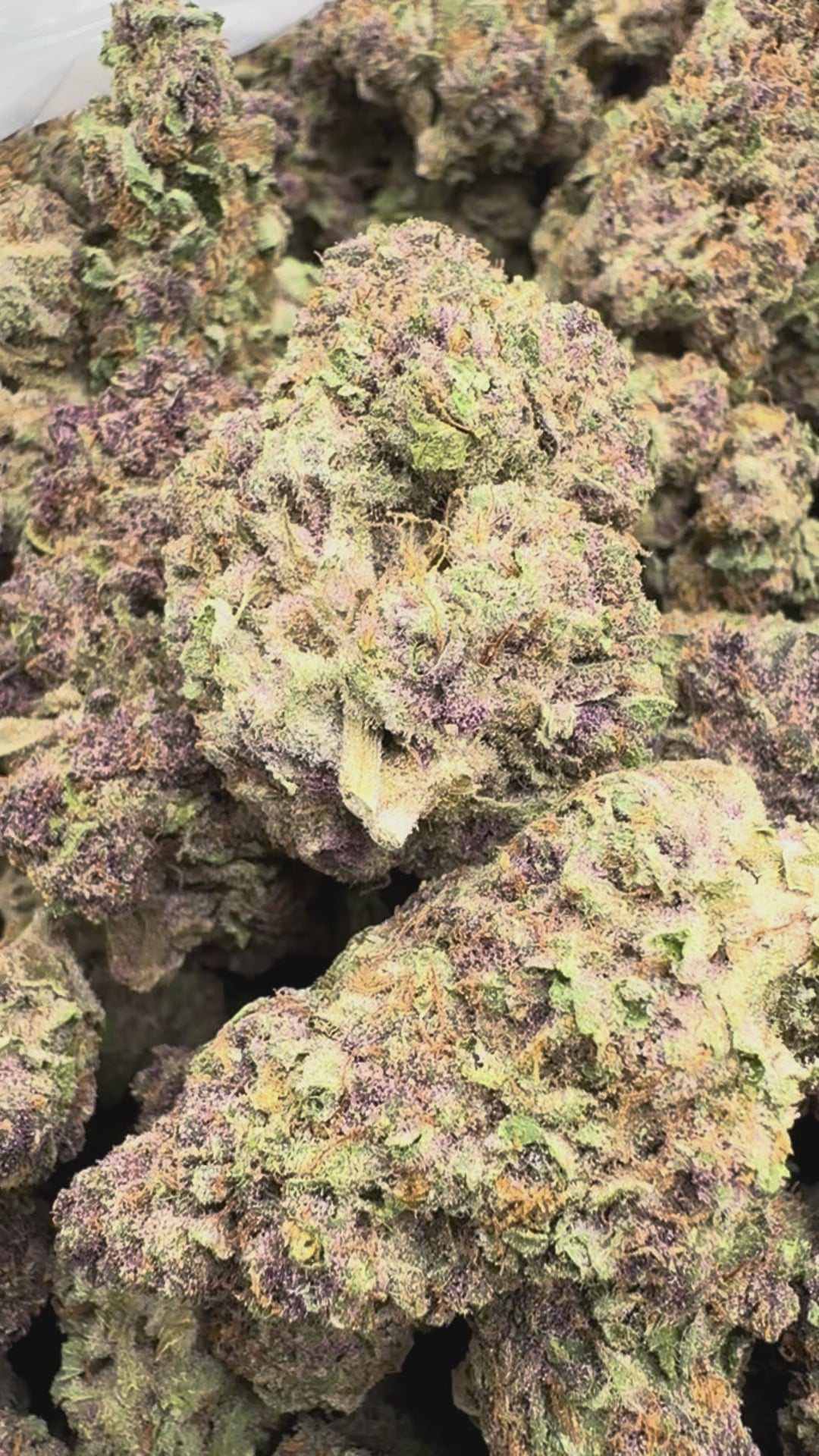 Load video: Trop Cherry - Bulk - Sativa