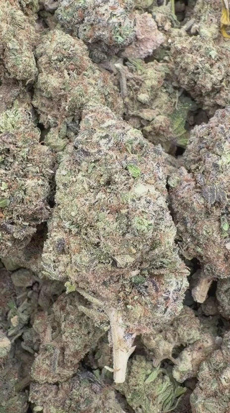 Cargar vídeo: Gastro Bomb - A granel - Indica