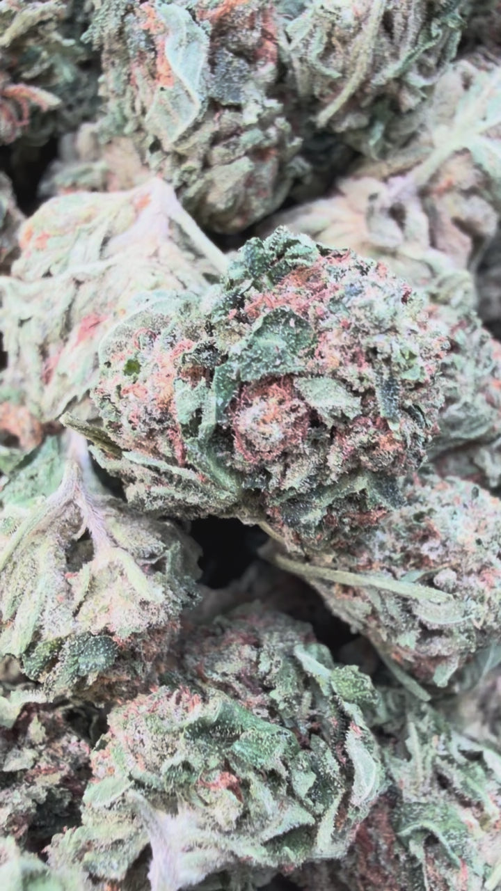 Load video: Northern Lights Mediums - Bulk Mediums - Indica
