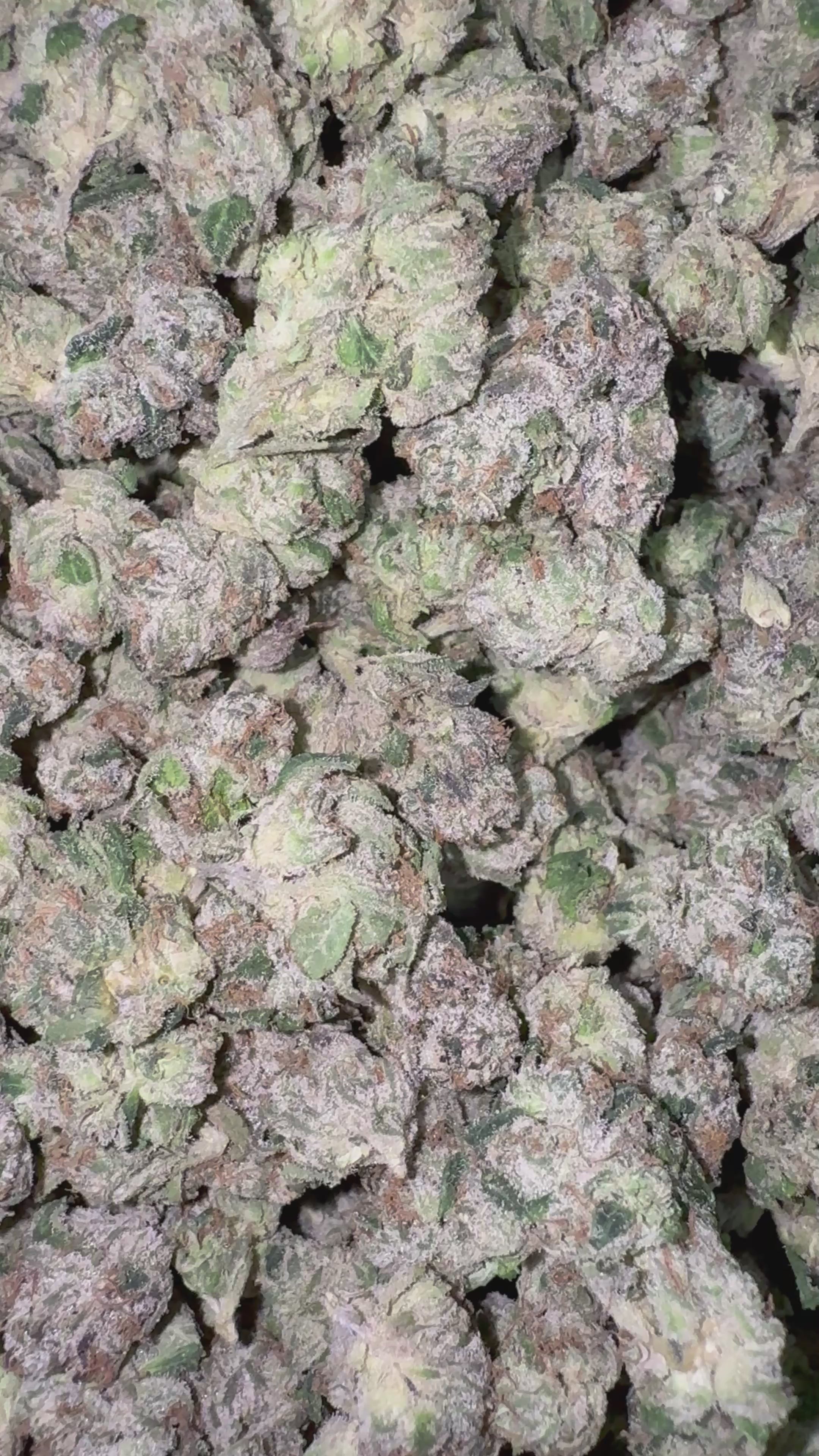 Load video: Boutique Exotics Mylar Magic - 28 Grams - Hybrid