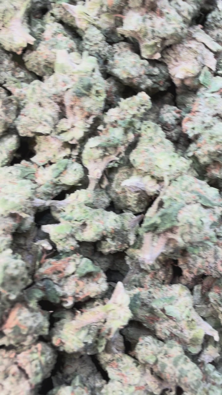 Load video: Citrus Kush Littles - Bulk Littles - Indica