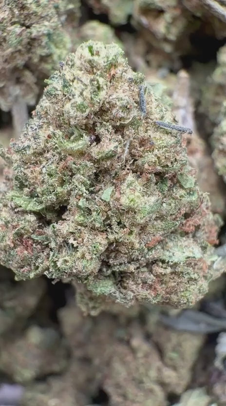 Cargar vídeo: Red Runtz - A granel - Índica