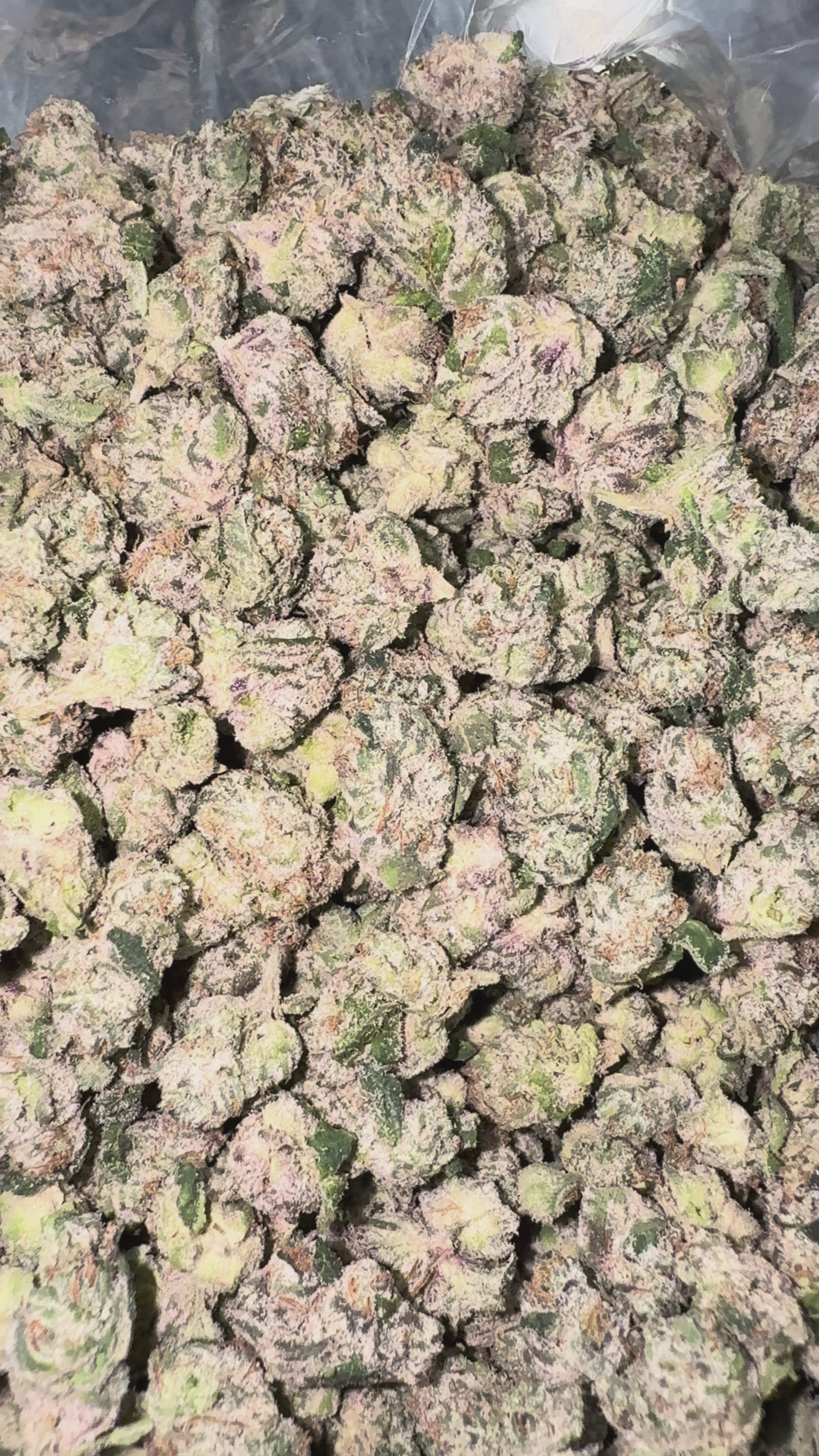 Load video: Boutique Exotics Berry Pop Littles - Bulk Littles - Hybrid