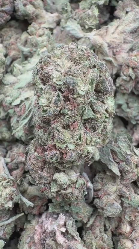 Cargar vídeo: Durban Poison Littles - Littles a granel - Sativa
