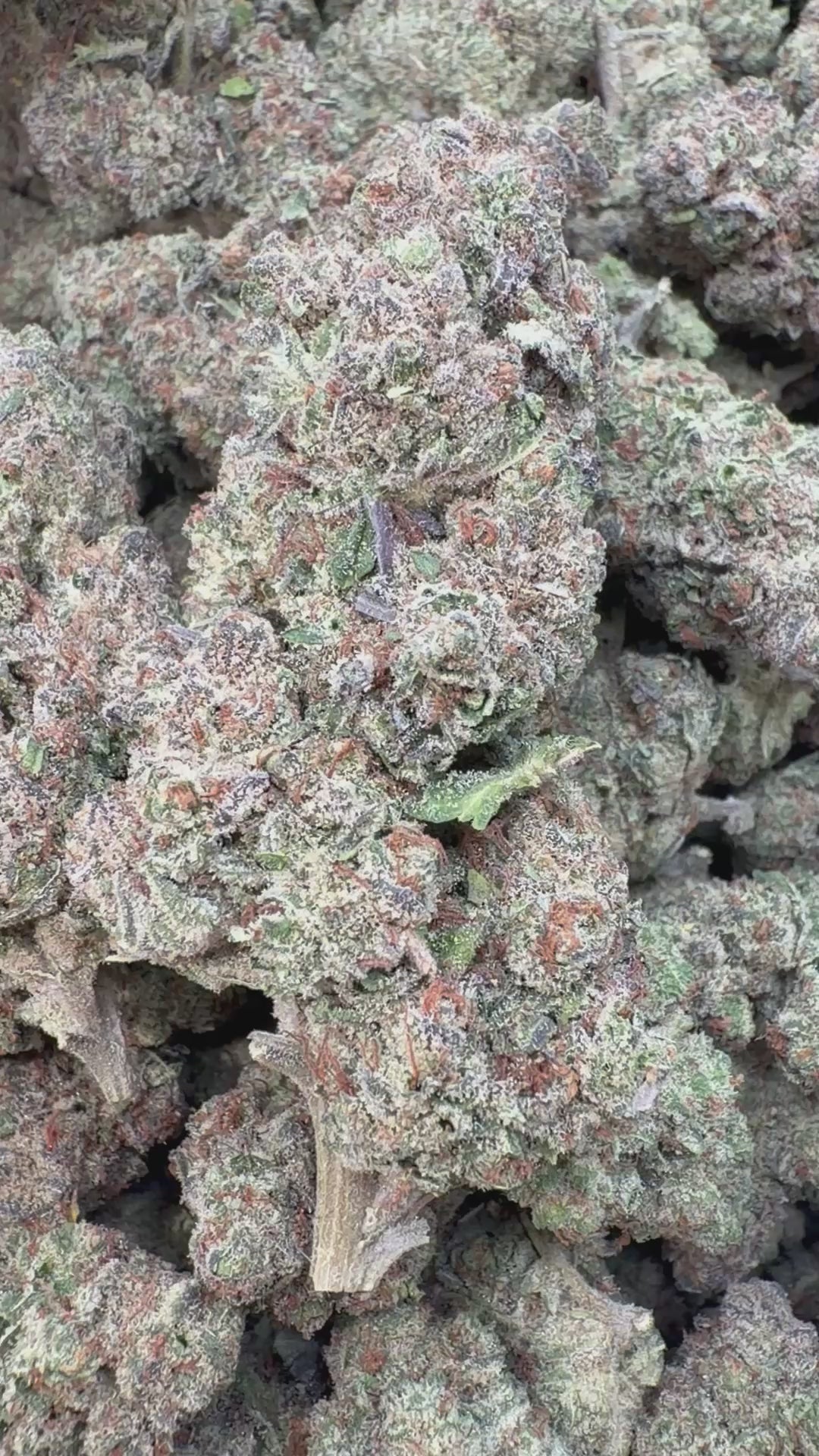 Cargar vídeo: Grape Gas - A granel - Híbrido