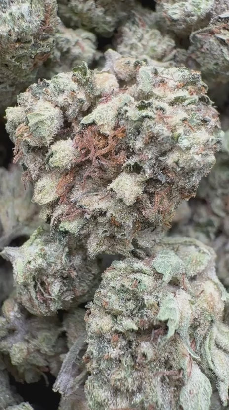 Load video: Slapz Littles - Bulk Littles - Hybrid