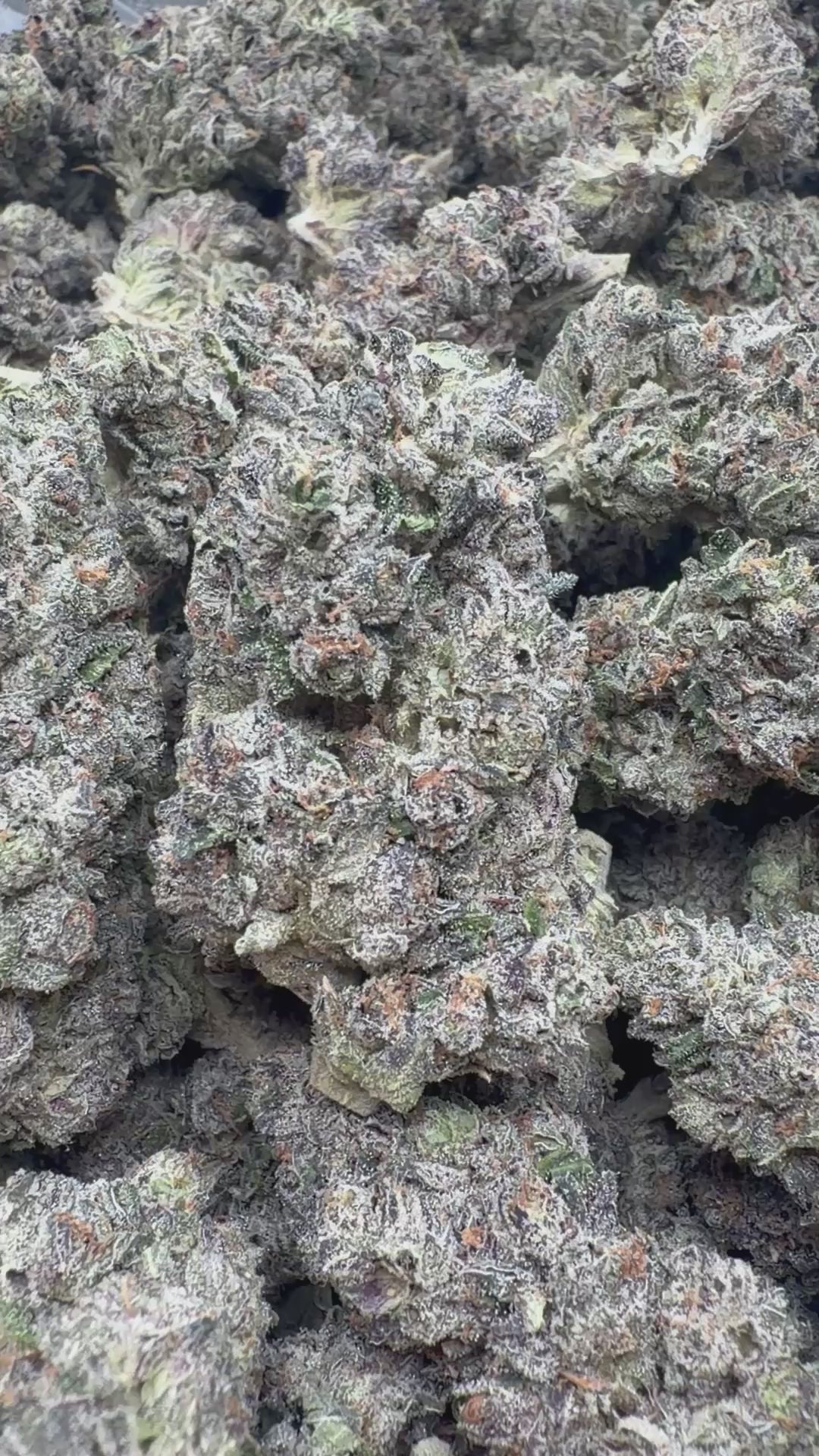 Cargar vídeo: Cerezas aterciopeladas - A granel - Indica